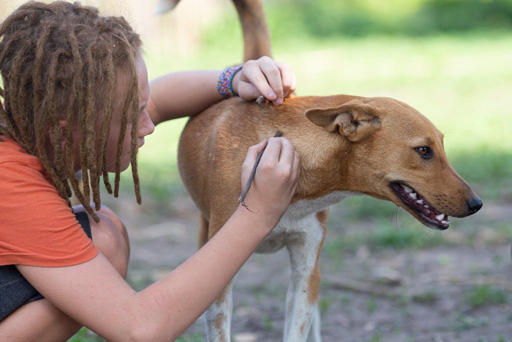 The UPSC Civil Services Examination offers Animal Husbandry and Veterinary Science as an optional subject