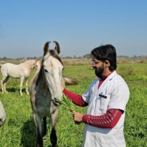 Profile photo of harshal